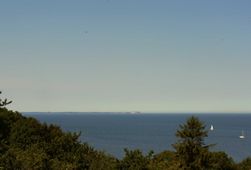 Klick mich und ich werde gross...